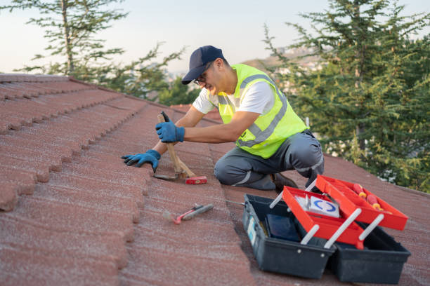 Roof Gutter Cleaning in Heidelberg, PA